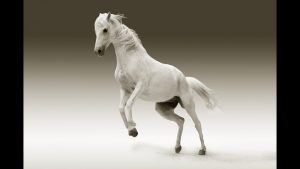 सपने में सफेद घोड़ा देखना मतलब क्या होता है