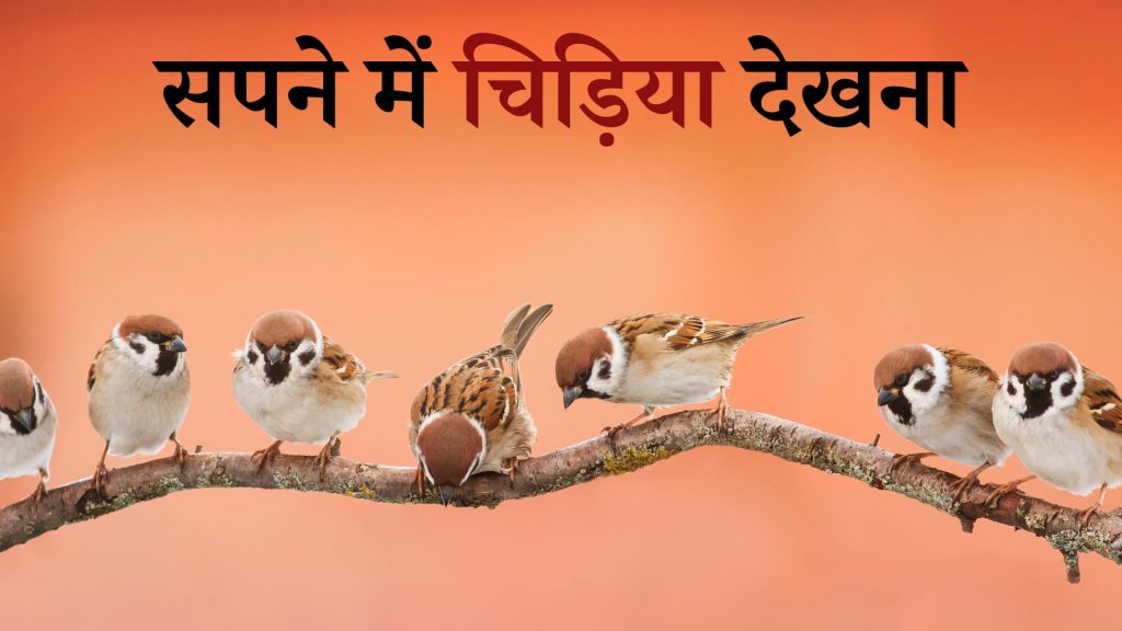 सपने में चिड़िया देखना मतलब क्या है ? Sapne Mein Chidiya Dekhna