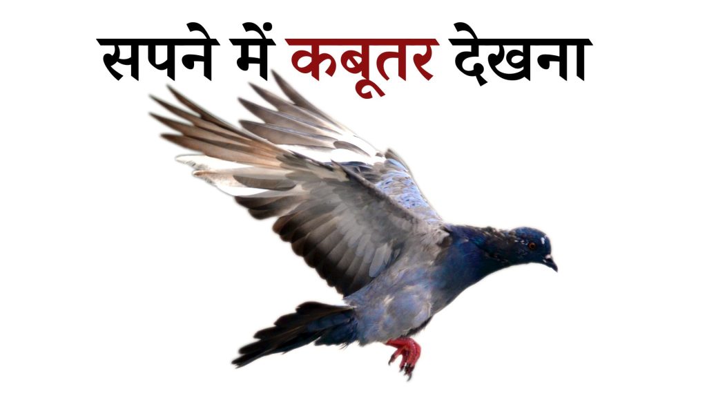 सपने में कबूतर देखना मतलब क्या है ? Sapne Main Pigeon Dekhna