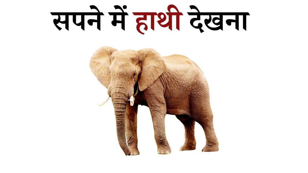 सपने में हाथी देखना मतलब क्या है ? Sapne Main Elephant Dekhna