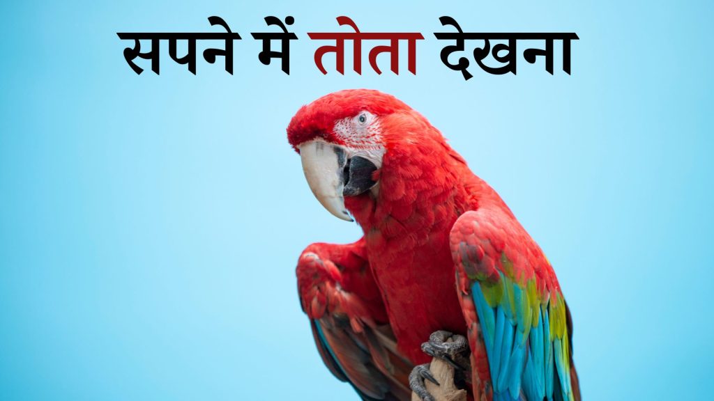 सपने में तोता देखना मतलब क्या है ? Sapne Me Parrot Dekhna