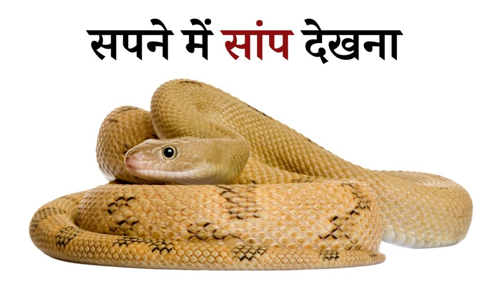 सपने में सांप देखना मतलब क्या है ? Sapne main Snake Dekhna