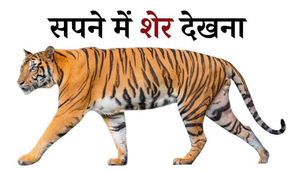 सपने में शेर देखना मतलब क्या है ? Sapne Mein Tiger Dekhna