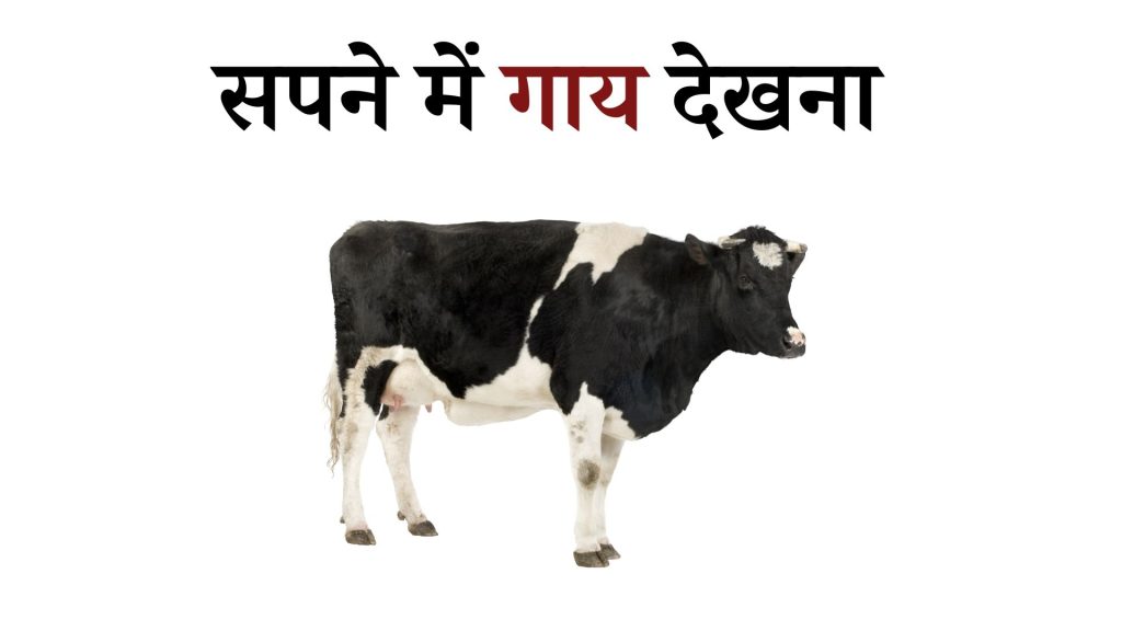 सपने में गाय देखना इसका मतलब क्या है ? Sapne Mein Cow Dekhna