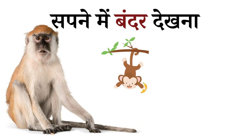 सपने में बंदर देखना मतलब क्या है ? Sapne Mein Bandar
