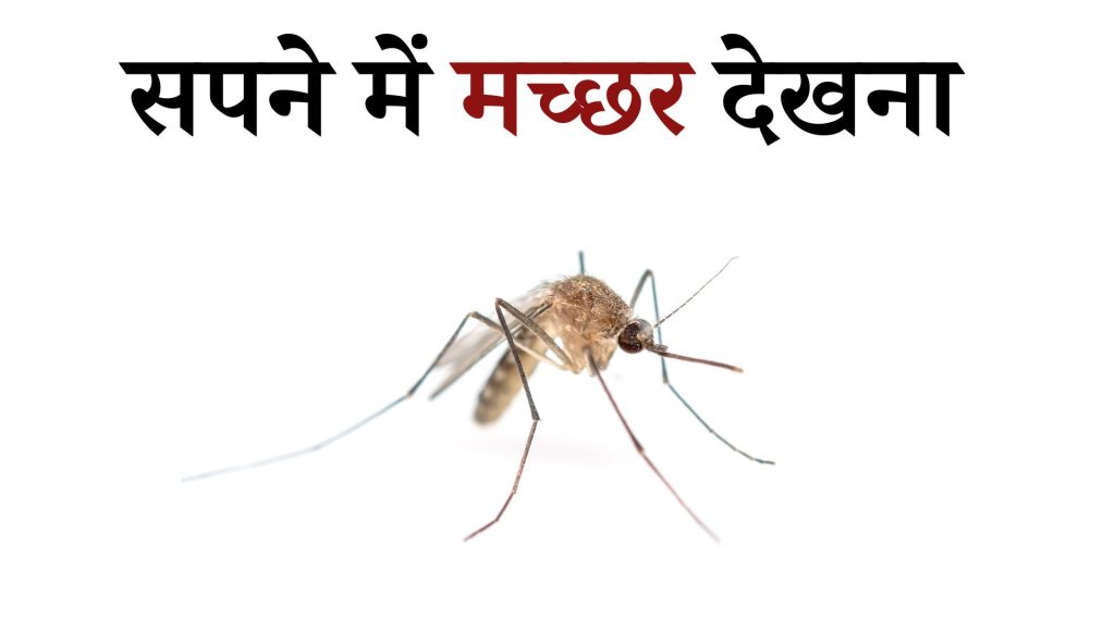 सपने में मच्छर देखना मतलब क्या है ? Sapne mein Machar Dekhna
