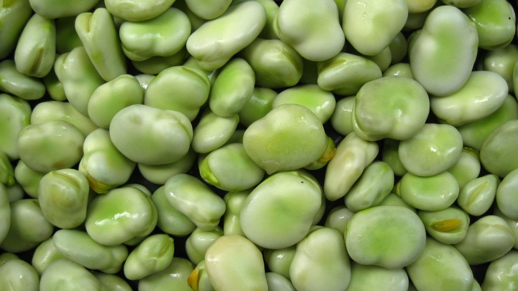 सपने में फावा बींस देखना मतलब क्या है ? Sapne Mein Fava Beans Dekhna